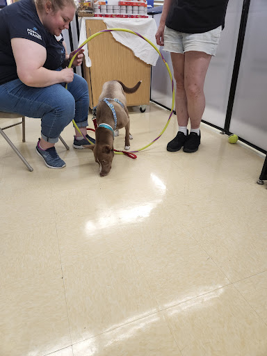 Pet Supply Store «Petco Animal Supplies», reviews and photos, 106 N Denton Tap Rd #310, Coppell, TX 75019, USA