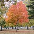 Donner Park Tennis Courts