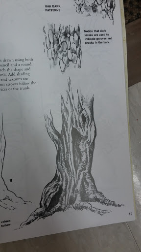 Craft Store «A.C. Moore Arts and Crafts», reviews and photos, 8066 Concord Mills Boulevard, Concord, NC 28027, USA