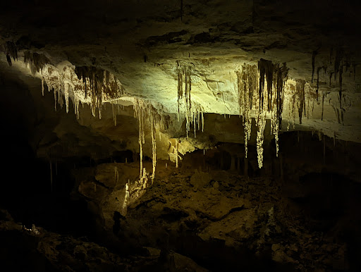 Tourist Information Center «Carlsbad Caverns National Park Headquarters», reviews and photos