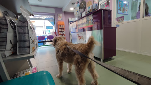 Clínica Veterinaria Velilla de San Antonio en Velilla de San Antonio