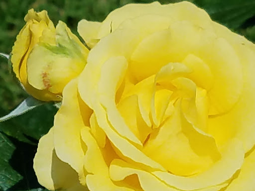 Memorial Park «Boothe Memorial Park», reviews and photos, 5800 Main St, Stratford, CT 06614, USA