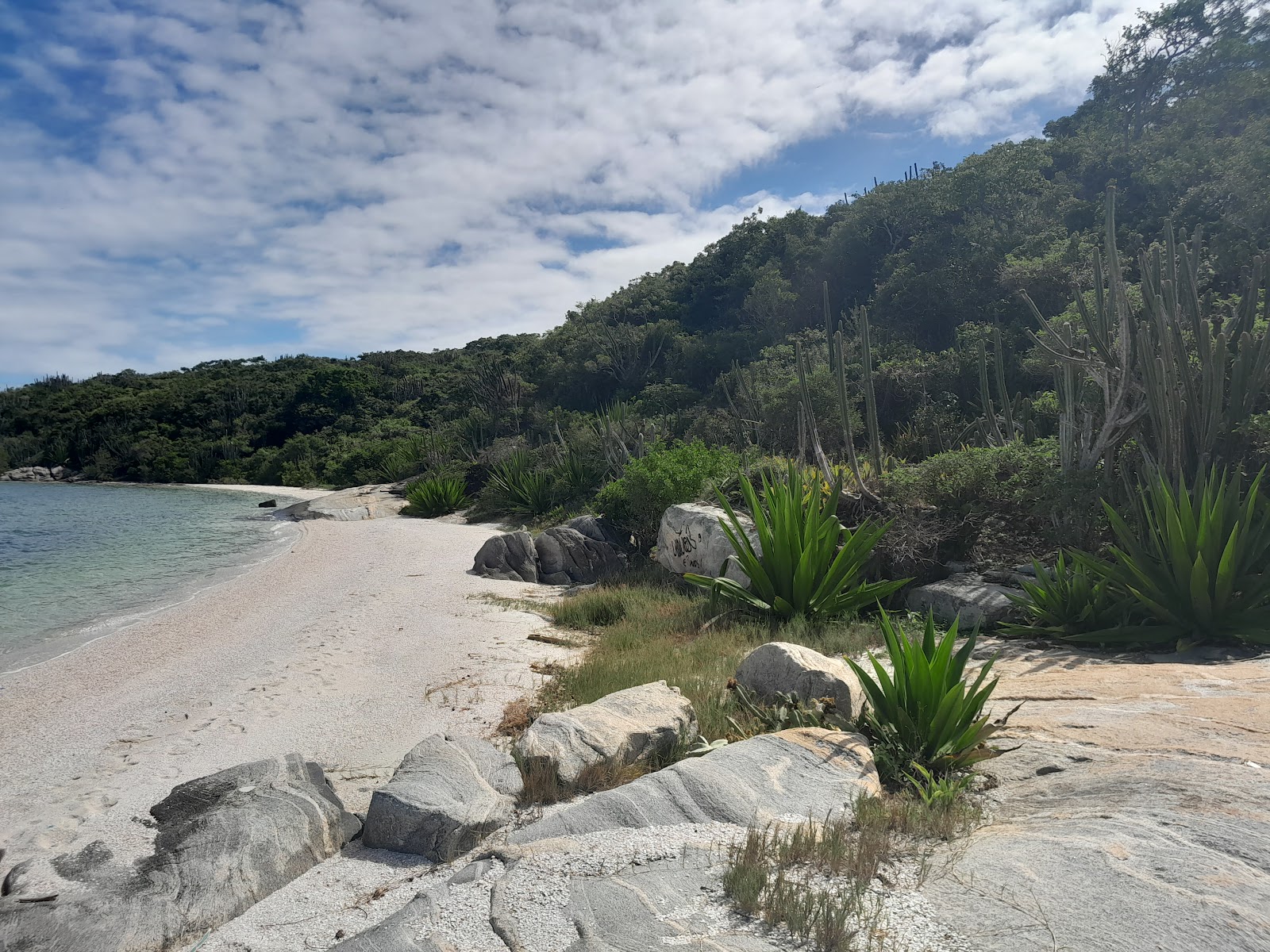 Foto di Praia Ancora da Baleia - luogo popolare tra gli intenditori del relax