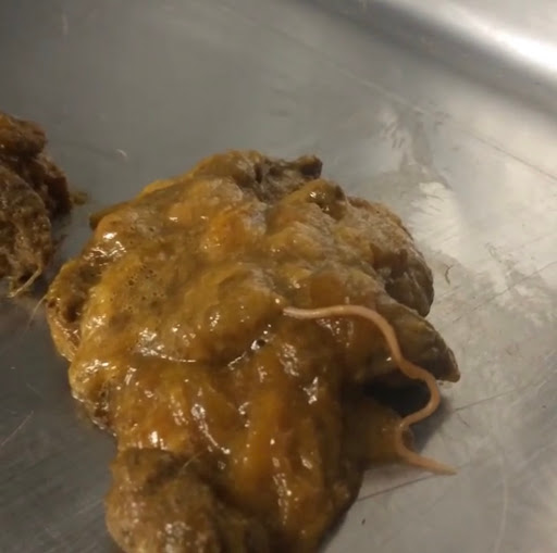 South Orange County Animal Hospital image
