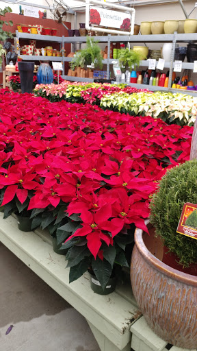 Hardware Store «Hagan Ace Hardware», reviews and photos, 12501 San Jose Blvd, Jacksonville, FL 32223, USA