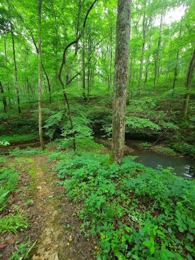 Monument «Meriwether Lewis Monument», reviews and photos, Old Natchez Trace, Hohenwald, TN 38462, USA