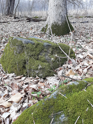 Nature Preserve «Meltzer Woods», reviews and photos, 1522 S 600 E, Shelbyville, IN 46176, USA