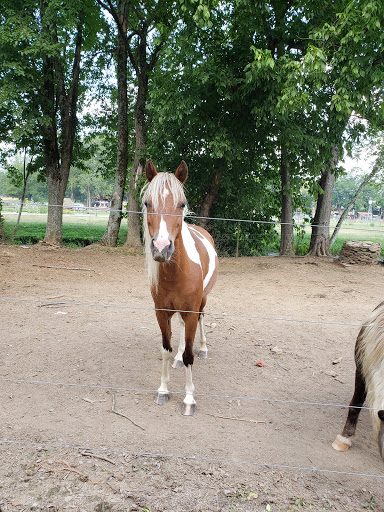 Farm «Pettit Creek Farms», reviews and photos, 337 Cassville Rd, Cartersville, GA 30120, USA