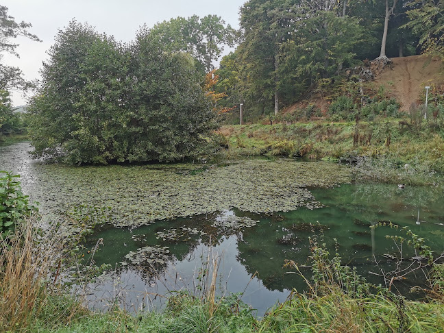 Skvæt Mølle - Museum