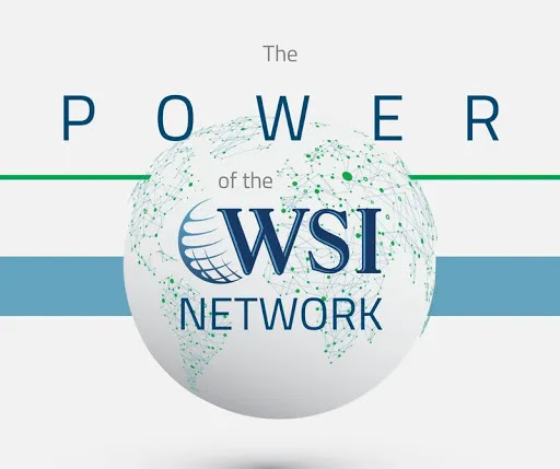 WSI Smart Marketing image