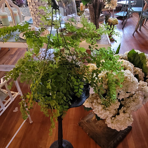 Gift Shop «In High Cotton», reviews and photos, 158 W Jefferson St, Madison, GA 30650, USA