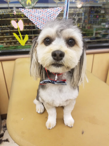 Pet Supply Store «PetSmart», reviews and photos, 1300 John F Kennedy Rd, Dubuque, IA 52002, USA