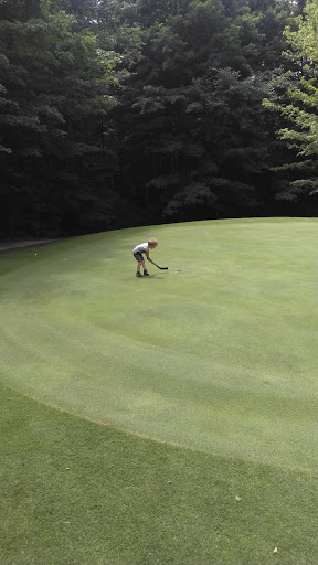 Golf Course «Pipestone Creek Golf Course», reviews and photos, 6768 Naomi Rd, Eau Claire, MI 49111, USA