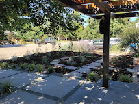 Waterwise Land & Waterscapes inc. - Photo 6 - Car repair in Fort Collins, CO, Fort Collins