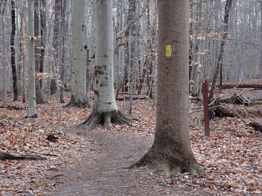 Park «Rockburn Branch Park», reviews and photos, 6105 Rockburn Branch Park Rd, Elkridge, MD 21075, USA