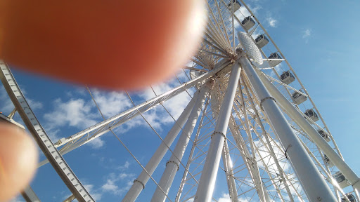 Park «Waterfront Park», reviews and photos, 1401 Alaskan Way, Seattle, WA 98101, USA