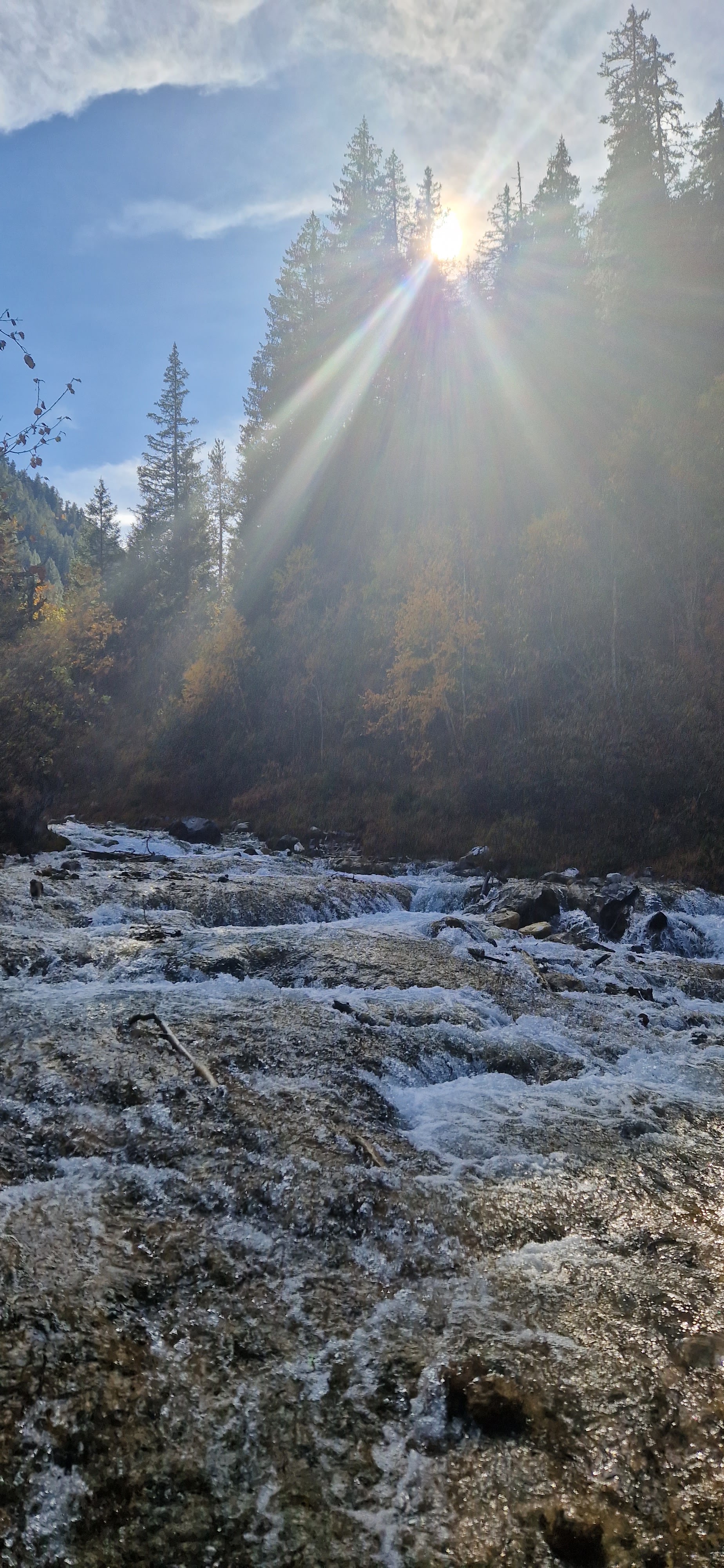 Photo n° 3 de l'avis de soline.a fait le 17/10/2023 à 11:43