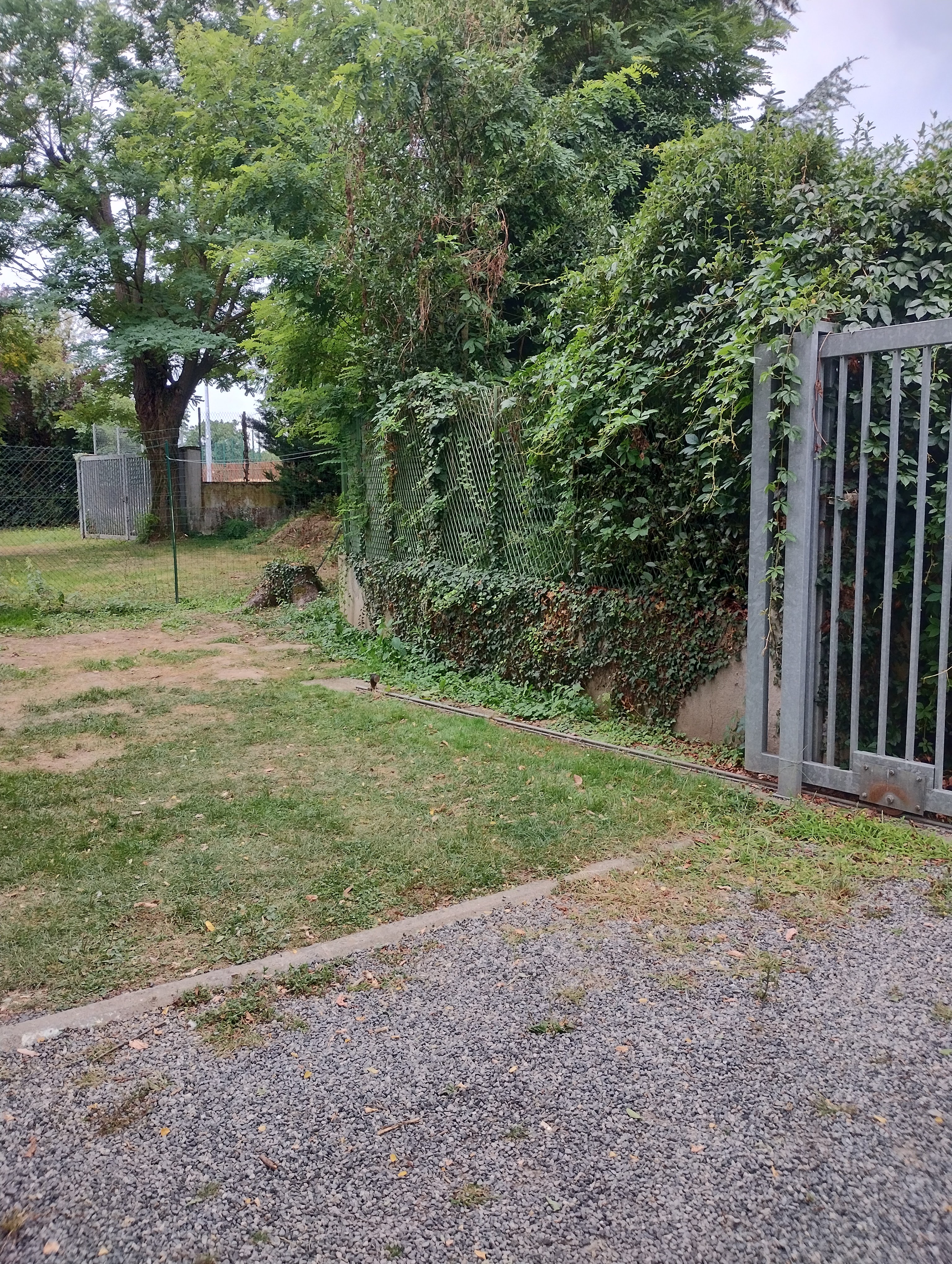 Photo n° 4 de l'avis de Marion.s fait le 10/08/2023 à 10:27