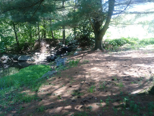 Gift Shop «Stonehedge Gardens», reviews and photos, 51 Dairy Rd, Tamaqua, PA 18252, USA