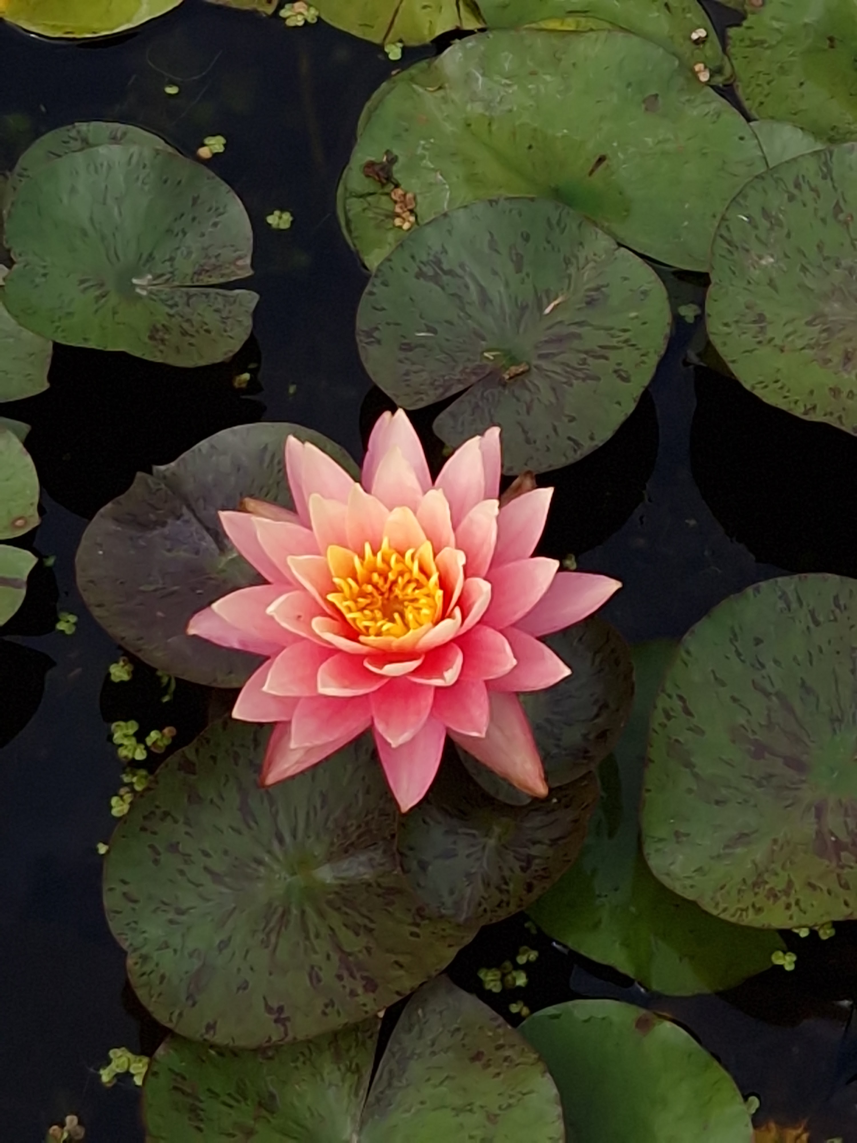 Photo n° 1 de l'avis de Cédric.a fait le 17/08/2023 à 06:25