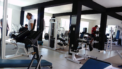 LEONsport Gym