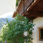 Photo n°4 de l'avis de Luca.o fait le 16/07/2019 à 13:03 sur le  Trattoria Mösslhof Alto Adige à Prags