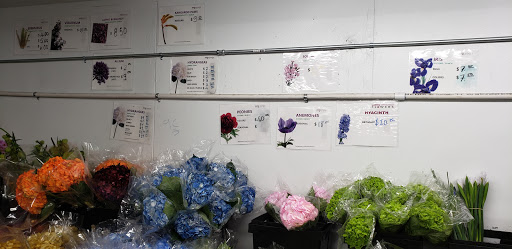 Wholesale Florist «United Wholesale Flowers», reviews and photos, 2510 Channing Ave, San Jose, CA 95131, USA