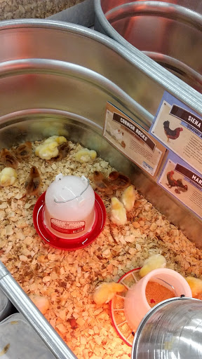 Home Improvement Store «Tractor Supply Co.», reviews and photos, 3400 Moody Pkwy, Moody, AL 35004, USA