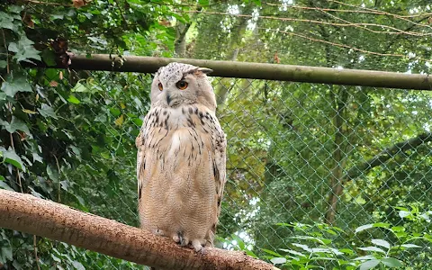 Uilen- en Dierenpark De Paay image