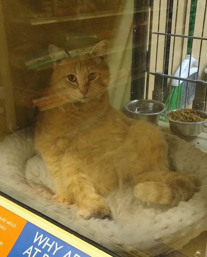 Pet Supply Store «PetSmart», reviews and photos, 2818 S Louise Ave, Sioux Falls, SD 57106, USA