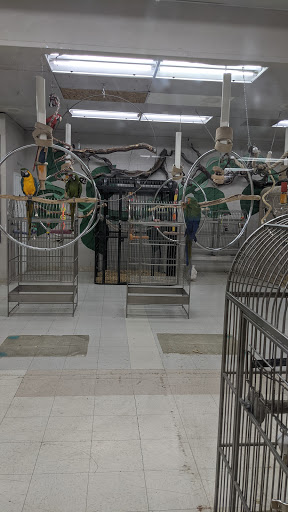 Bird Shop «Arizona Bird Store», reviews and photos, 565 S Dobson Rd, Mesa, AZ 85202, USA