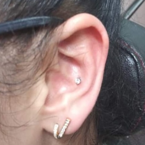 Explore forest tattoo ideas, creative tattoo ideas in Hialeah, available at Allstar Tattoo & Body piercing