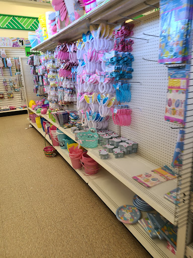 Dollar Store «Dollar Tree», reviews and photos, 1455 Peachtree Pkwy, Cumming, GA 30041, USA