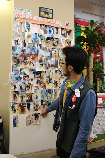 Hardware Store «Woodley Park Ace Hardware», reviews and photos, 2616 Connecticut Ave NW, Washington, DC 20008, USA