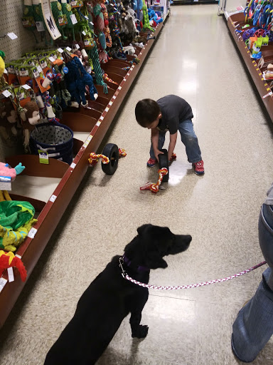 Pet Supply Store «PetSmart», reviews and photos, 600-800 Hatton Dr, Glen Mills, PA 19342, USA