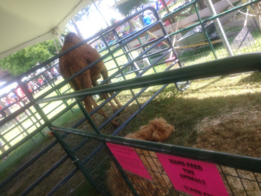 Community Center «Recreation Park», reviews and photos, 500 E Miner St, Arlington Heights, IL 60004, USA