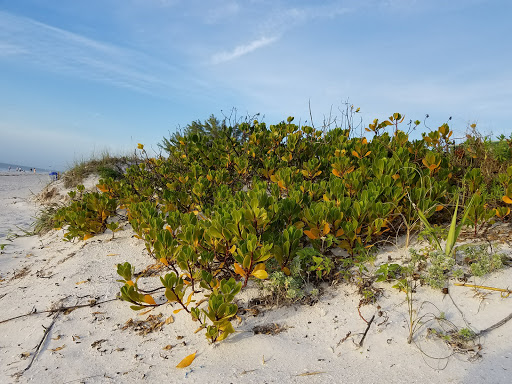 Park «George C. McGough Nature Park - The Narrows», reviews and photos, 11901 146th St N, Largo, FL 33774, USA