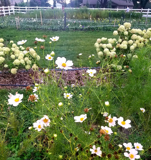 Event Venue «The Marmalade Lily», reviews and photos, 9850 Schlottman Rd, Loveland, OH 45140, USA