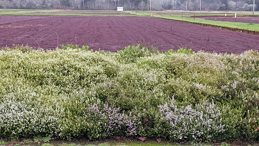 Museum «Cranberry Museum», reviews and photos, 2907 Pioneer Rd, Long Beach, WA 98631, USA