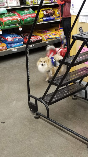 Pet Supply Store «Pet Supplies Plus», reviews and photos, 1289 N Milwaukee Ave, Chicago, IL 60622, USA