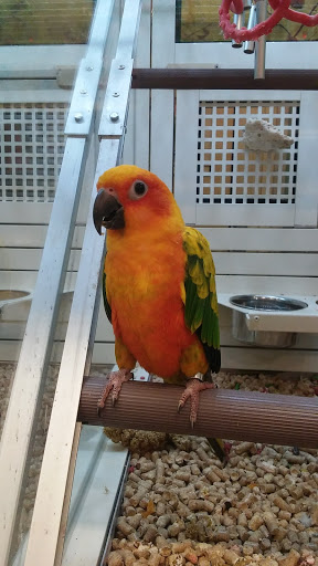 Pet Supply Store «PetSmart», reviews and photos, 2833 35th Ave, Greeley, CO 80634, USA