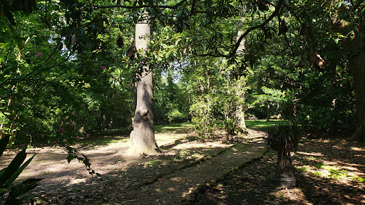 Tourist Attraction «McRaven Tour Home», reviews and photos, 1445 Harrison St, Vicksburg, MS 39180, USA