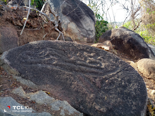 Zona Arqueológica 5 de mayo-La Sabana