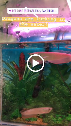 Pet Supply Store «Pet Zone Tropical Fish», reviews and photos, 4266 University Ave, San Diego, CA 92105, USA