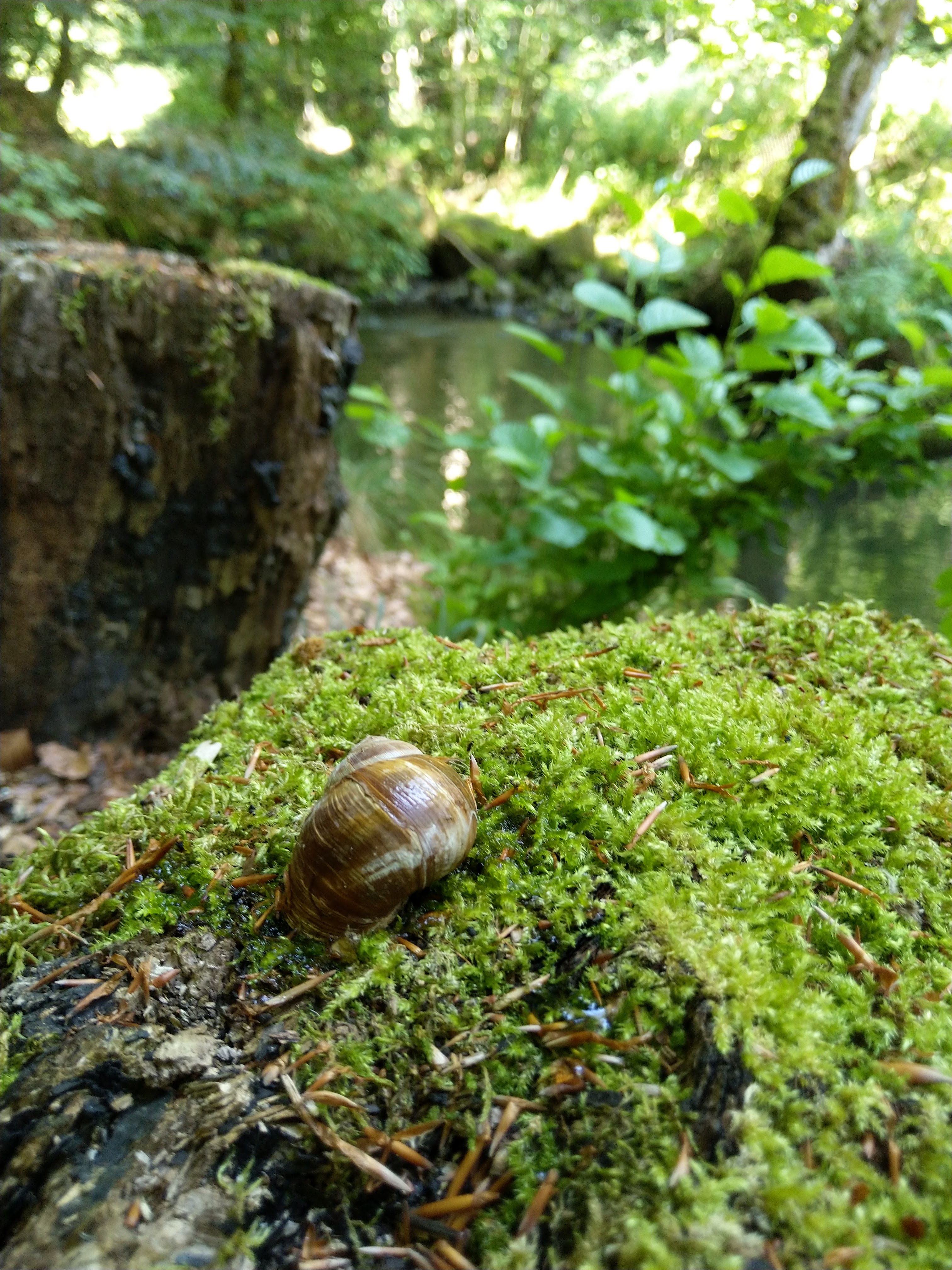 Photo n° 2 de l'avis de Sébastien.E fait le 25/07/2019 à 10:52