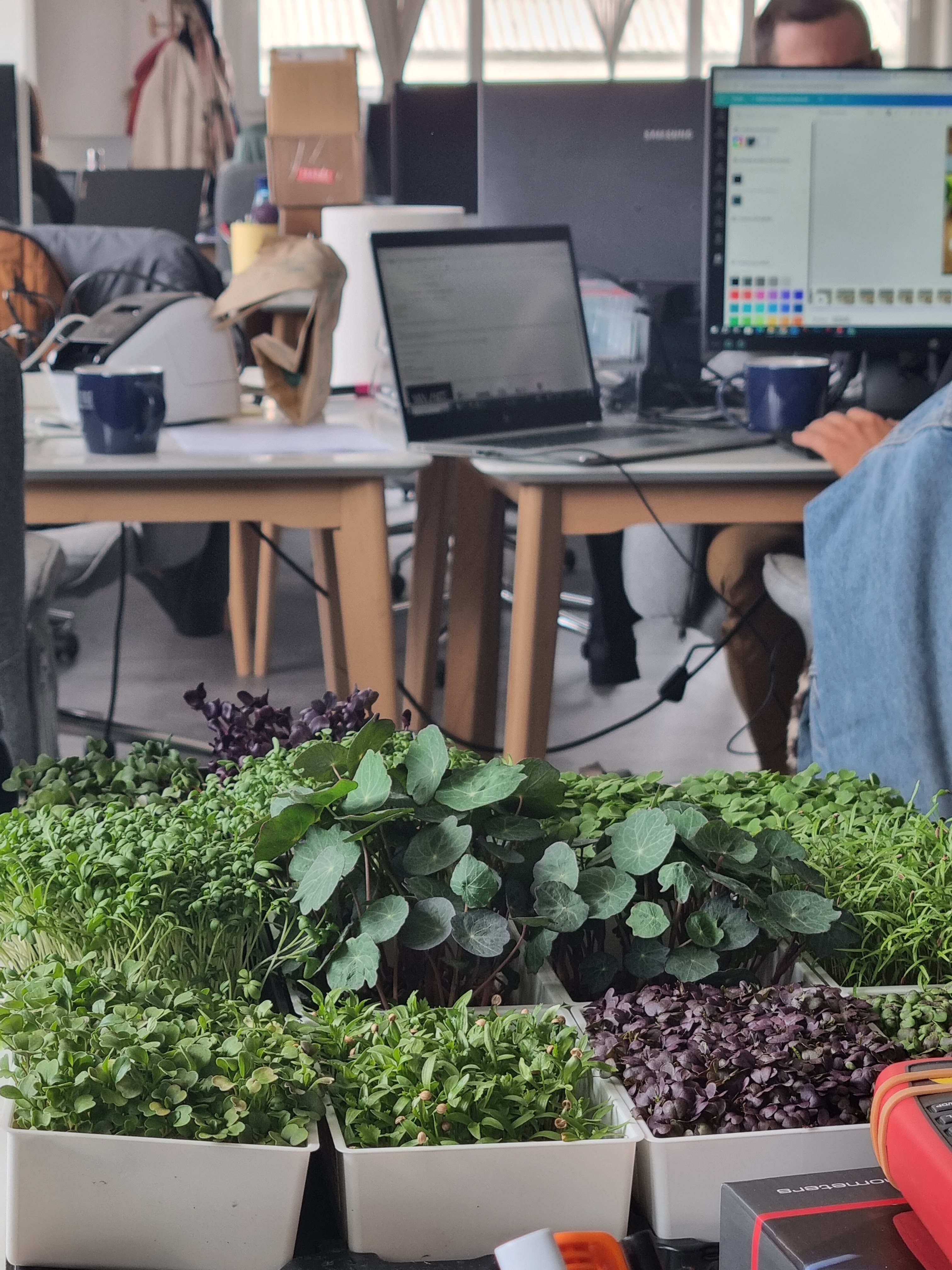 Photo n° 6 de l'avis de Yan.e fait le 23/04/2024 à 03:40