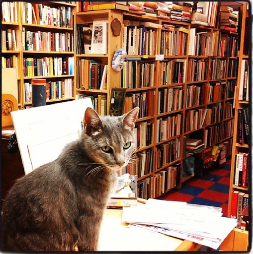 Book Store «Small World Books», reviews and photos, 425 North St, Rochester, NY 14605, USA