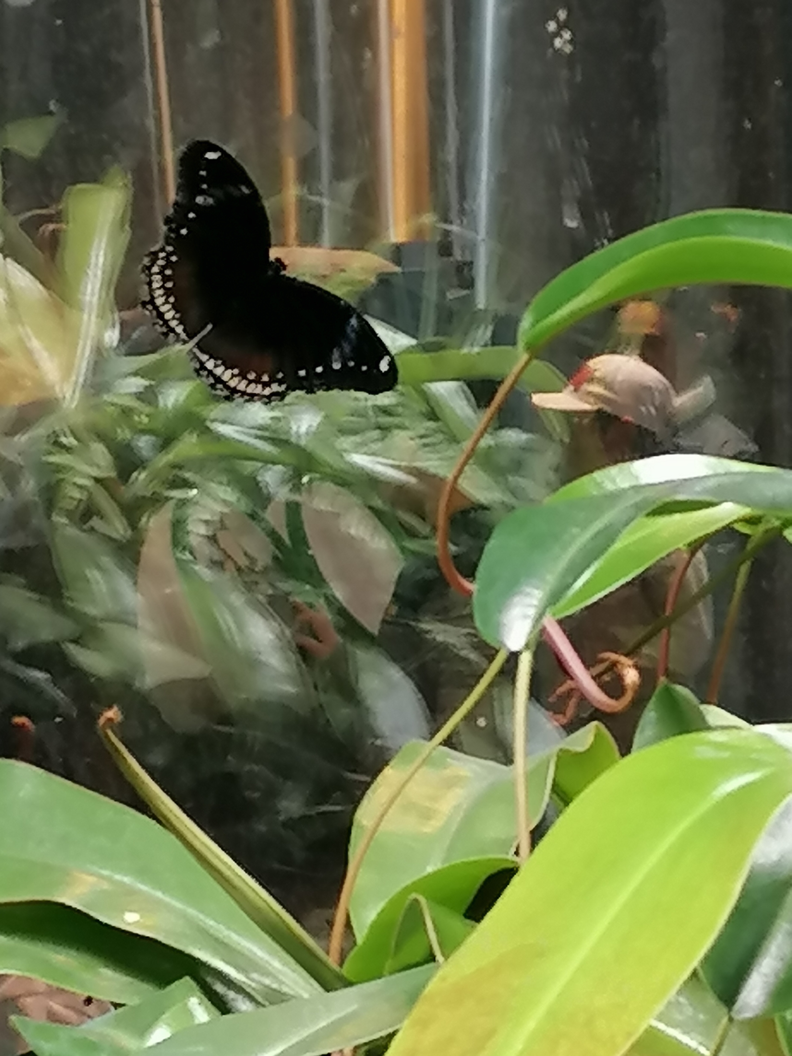 Photo n° 8 de l'avis de Sandrine.o fait le 07/05/2023 à 16:19