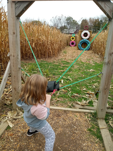 Tourist Attraction «Oregon Dairy Corn Maze», reviews and photos, 1289 Creek Rd, Lititz, PA 17543, USA