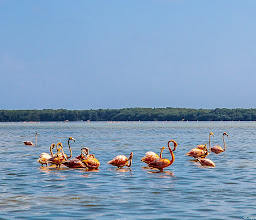 Reserva de la Biósfera Los Petenes photo